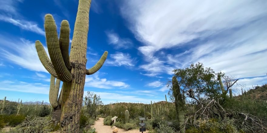 arizona-timezones-explained-it-s-a-prickly-situation-uponarriving