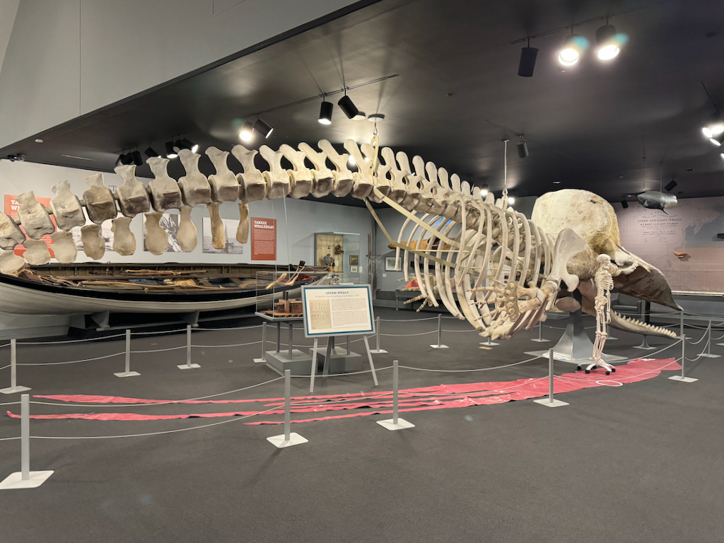 New Bedford Whaling Museum Review: An Absolute Gem - UponArriving